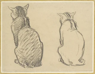 Two Studies of a Cat